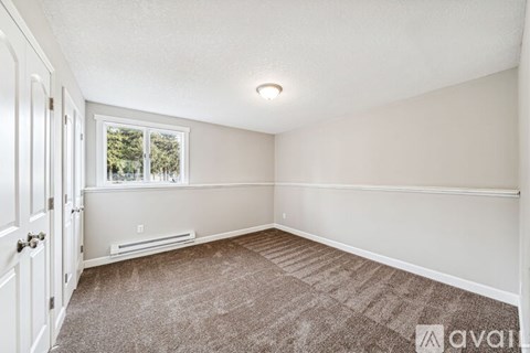 A room with a carpeted floor and a window showing trees outside.