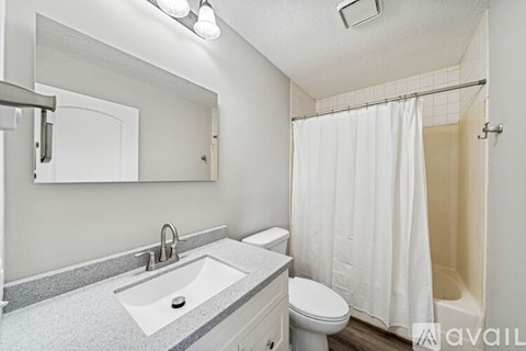 A bathroom with a sink, toilet, and shower.