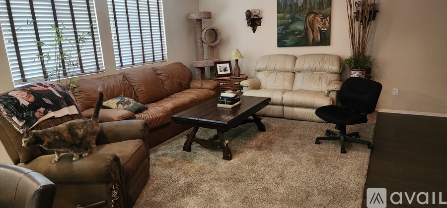 34129 Hillside Drive 1 Apartment for Rent - Photo gallery 5