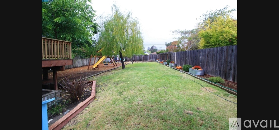 3415 Grasswood Drive 4 Beds Single Family Home for Rent - Photo gallery 1