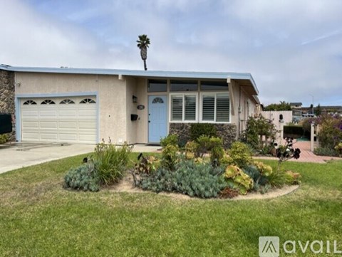 A house with a blue door and a palm tree on the roof.