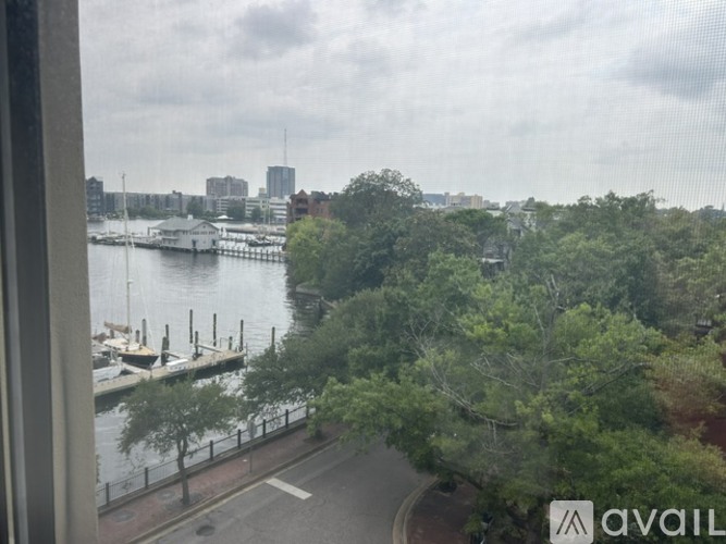 255 College Cross 1 Apartment for Rent - Photo gallery 2