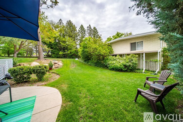 A backyard with a lawn, a bench, and a house.