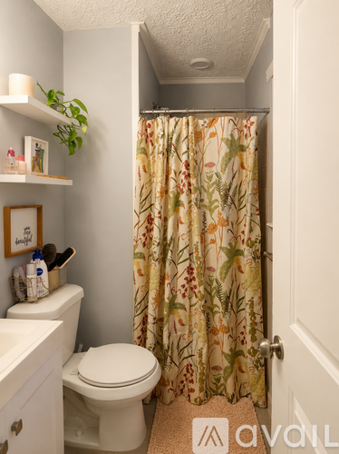 2509 Slaydon Drive 3 Beds Single Family Home for Rent - Photo gallery 4