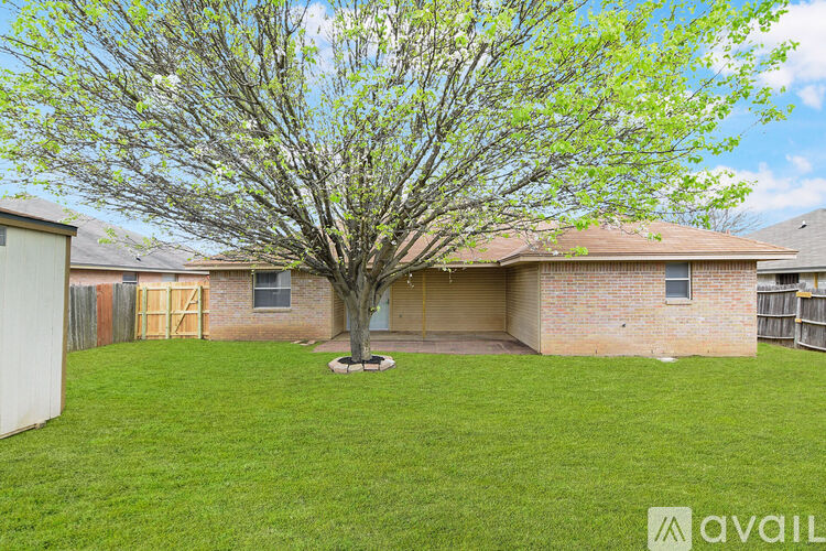 A tree with green leaves stands in a grassy backyard.