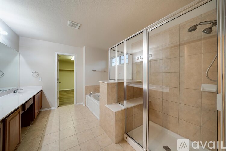 A bathroom with a walk-in shower and a sink.