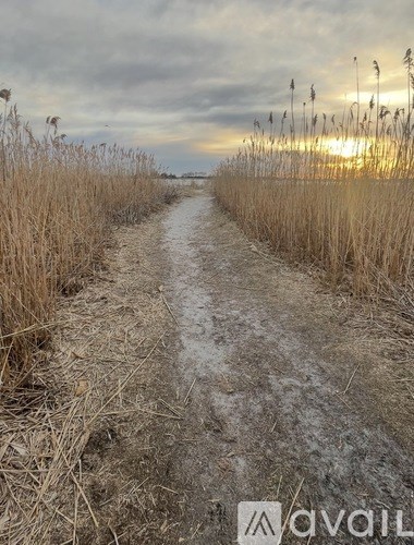 A dirt path through a field of tall grass with the sun setting in the distance.