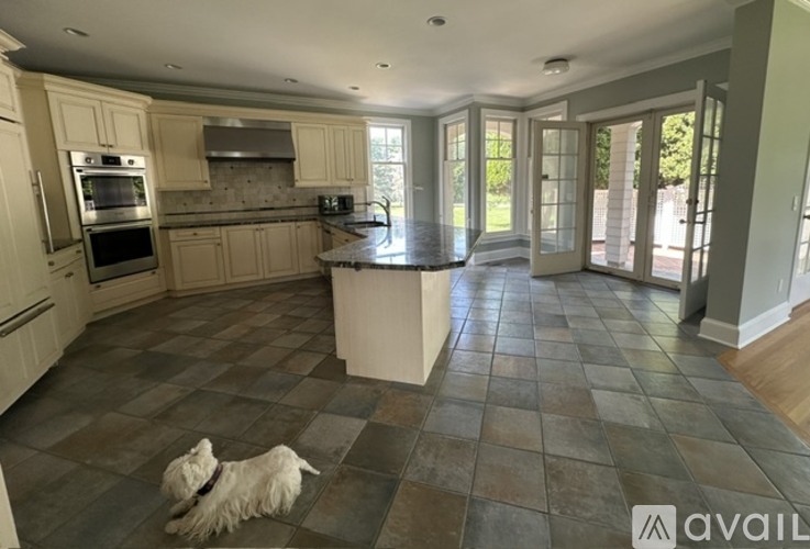 A dog is sitting on a tiled floor in a kitchen with a stove, oven, and sink.
