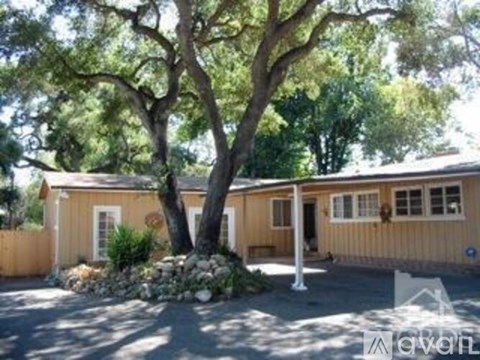 A house with a tree in front of it.
