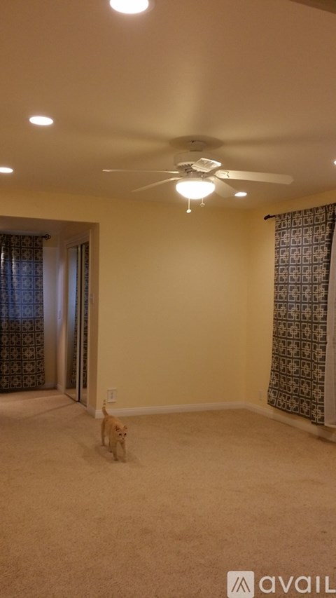 A room with a ceiling fan and a dog.