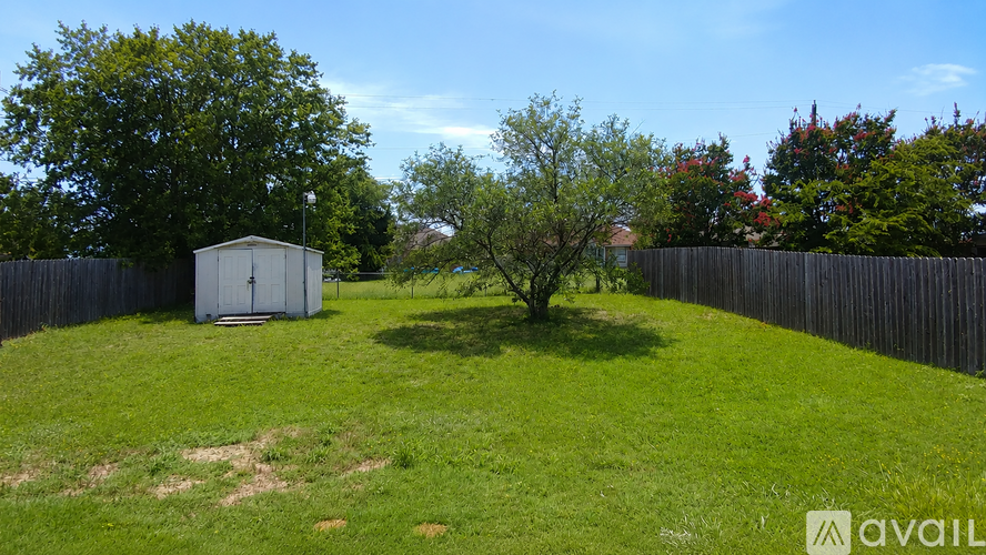 A backyard with a shed and a tree.