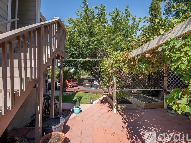 A backyard with a patio, a pool, and a tree.