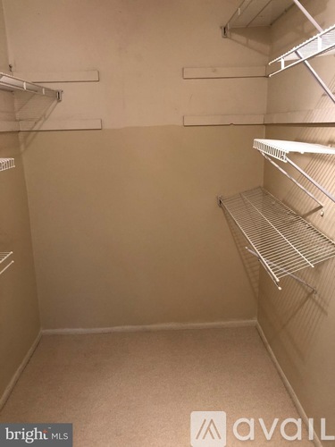 1806 The Woods II 2 Beds Condo for Rent - Photo gallery 5