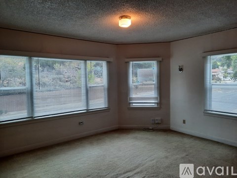 A room with two windows and a carpeted floor.