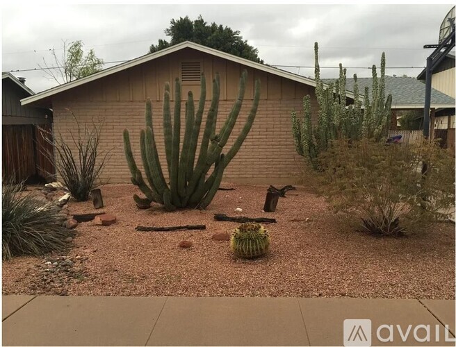 1434 E Del Rio Drive 3 Beds Single Family Home for Rent - Photo gallery 1