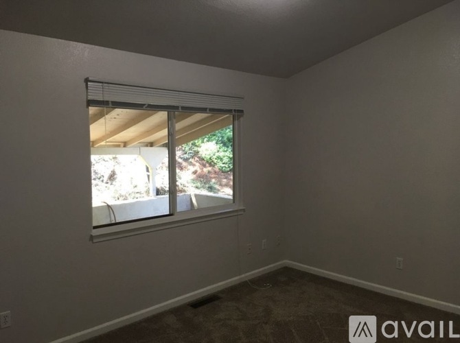 A room with a window and a carpeted floor.