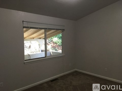 A room with a window and a carpeted floor.