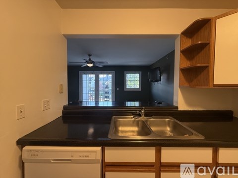 A kitchen with a black countertop and a white dishwasher.