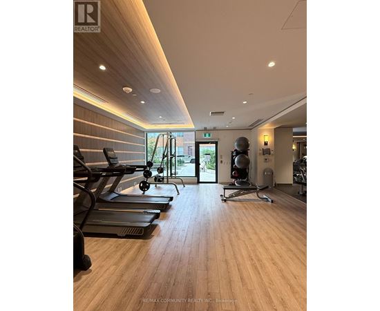 A gym with treadmills, exercise bikes, and weights.