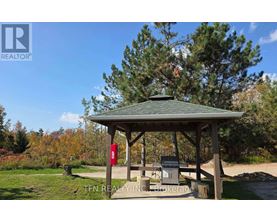 A gazebo with a picnic table and a grill is surrounded by trees.