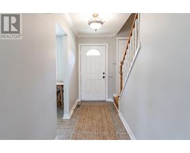 A hallway with a white door and a brown carpet.