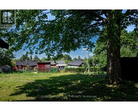 A tree in a yard with a house in the background.