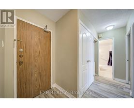 A wood door with a white door on the other side.
