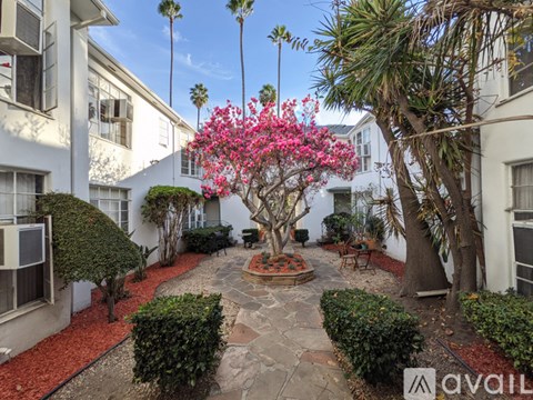 A tree with pink flowers is in the middle of a courtyard.