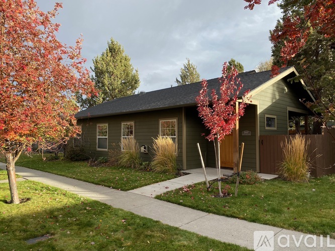 A house with a brown door and a brown roof with trees in front.