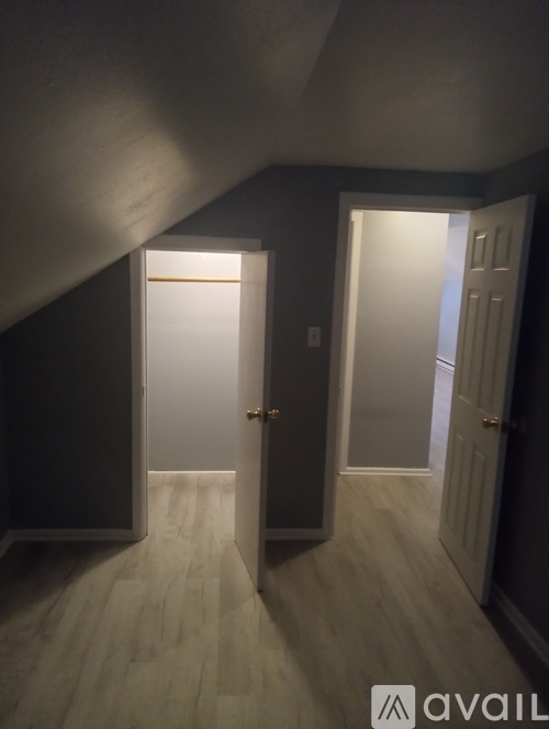 A hallway with two doors, one open, leading to another room.