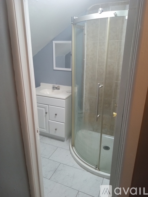 A bathroom with a walk in shower and a white sink.