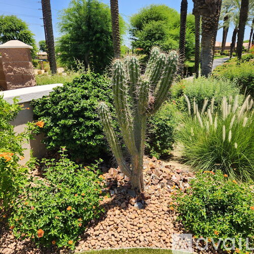 44010 Royal Troon Dr 2 Beds Single Family Home for Rent - Photo gallery 4
