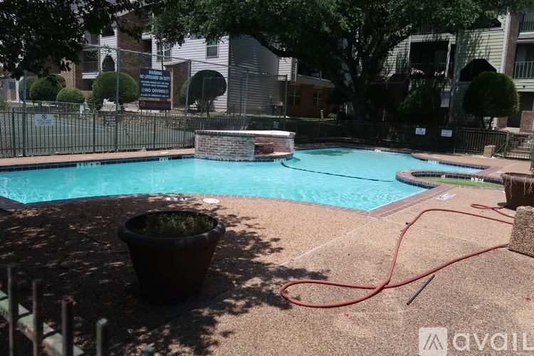 A pool with a hose and a potted plant.