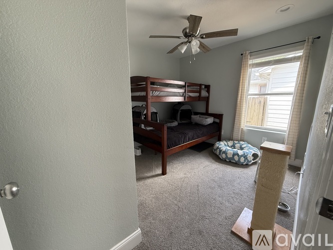 A bedroom with a bunk bed and a ceiling fan.