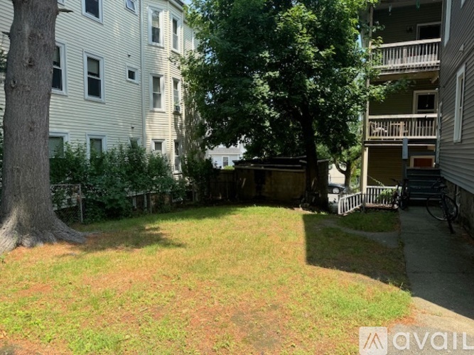 A tree in a yard with a building in the background.