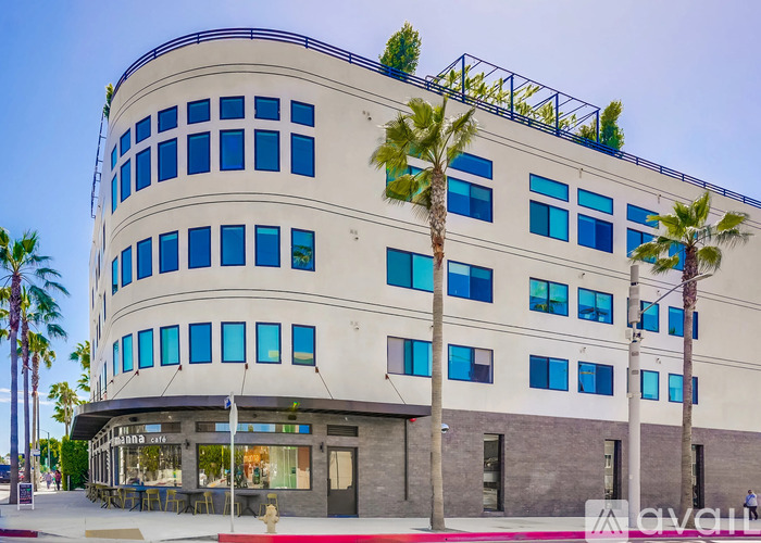 A white building with blue windows and palm trees in front.