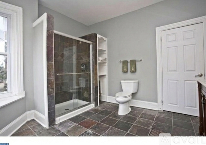 A bathroom with a toilet, a walk-in shower, and a white door.