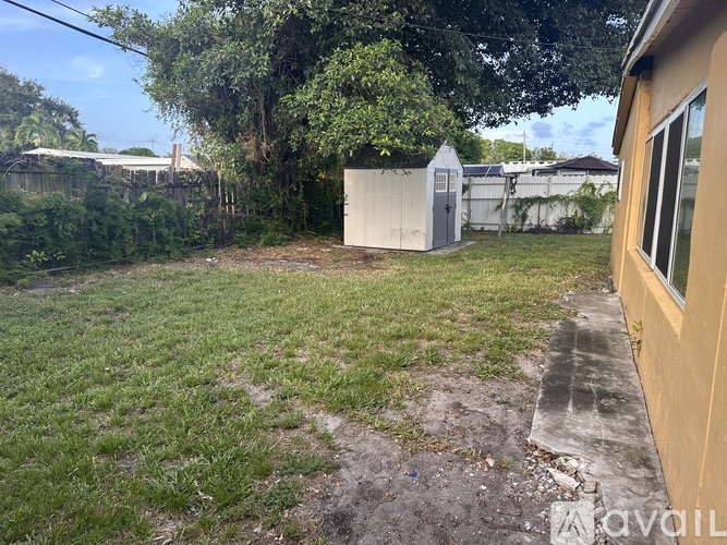 A backyard with a shed and a tree.