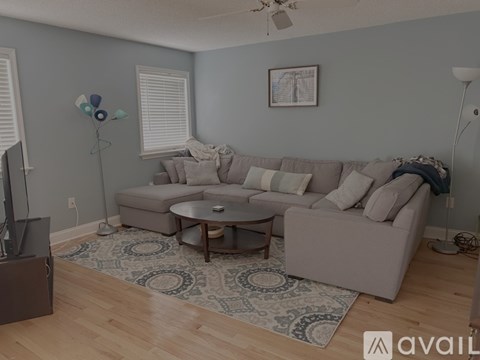 A living room with a grey couch and a patterned rug.