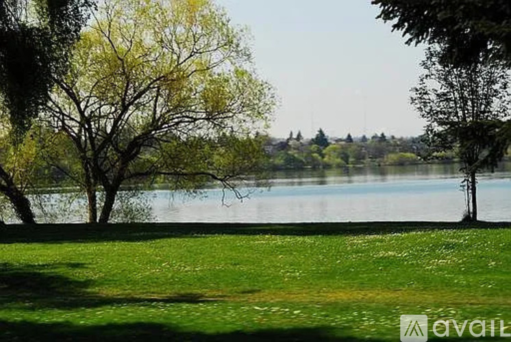 A serene landscape with a lake, trees, and a clear sky.
