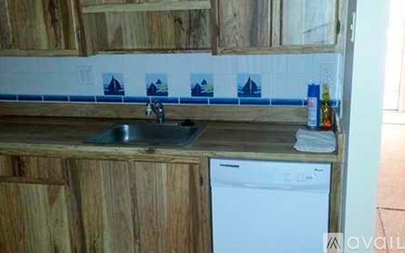 A kitchen with a white dishwasher and a black sink.