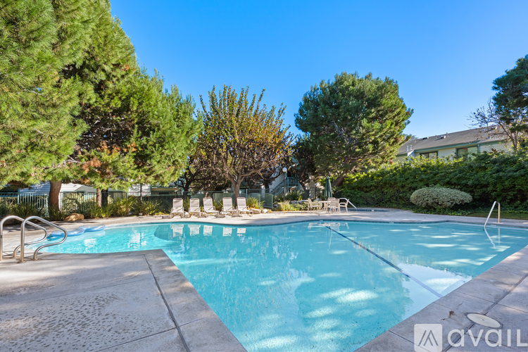 A swimming pool surrounded by trees and a clear blue sky.
