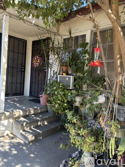 Hazeltine Ave 1 Apartment for Rent - Photo gallery 2