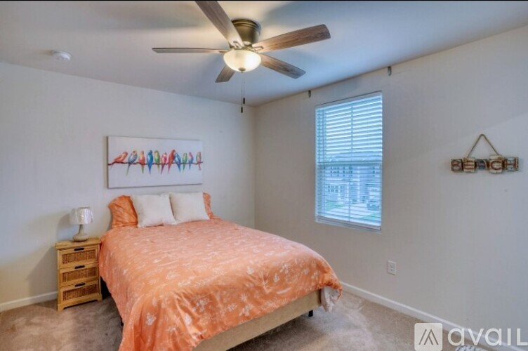 32092 Windjammer Drive 4 Beds Single Family Home for Rent - Photo gallery 4