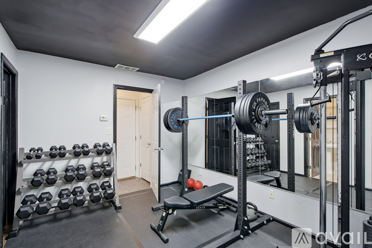 A gym with a squat rack, bench, and dumbbells.