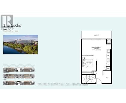 A real estate advertisement for Triton Capital Inc. in Brokerage.