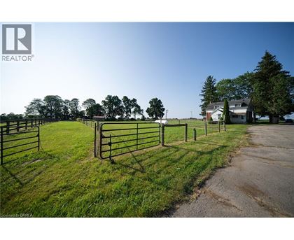 A fenced grassy area with a house in the background.