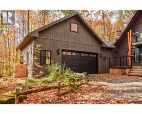 A house with a brown garage door is surrounded by a forest.