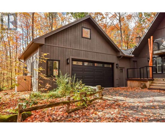 A house with a brown garage door is surrounded by a forest.