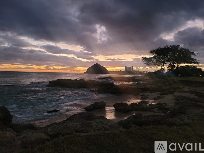 A tree stands on a rocky shore under a dramatic sky.
